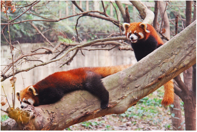 16 Métodos Infravalorados de Pandas y Cuándo Utilizarlos